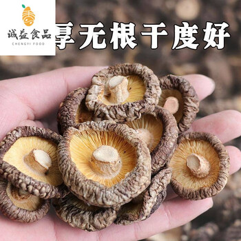 5折菇干货干蘑菇 干菇 批发 一斤 椴木茹干 农家土产 特级香菇500g