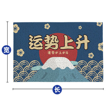 门玄关进门口可裁剪丝圈地毯运势上升定制尺寸联系客服100平米不退换