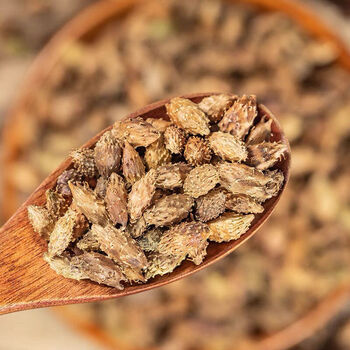 去刺炒苍耳子中药材正宗苍耳子新货苍耳子泡脚鼻塞喷嚏 官方旗舰100