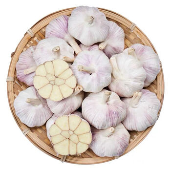山东金乡新干蒜紫白皮干蒜大蒜头产地批发3510斤装2斤精选大果