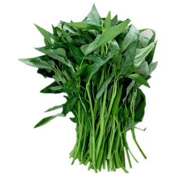 (企业专属) 通心菜 50g