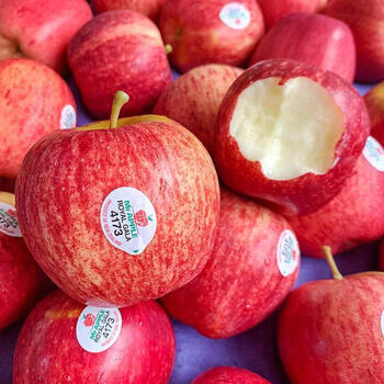栩季xuji新西兰加力果咖喱果新鲜水果佳丽果嘎啦苹果3斤