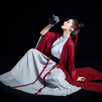 潮志惠侠客汉服女红颜传统古风女魏晋风红色齐腰襦裙广袖古装中国风仙