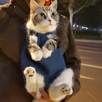 爱优粮派乐特 猫包外出便携宠物背包猫狗背带胸前包背心式双肩包猫袋