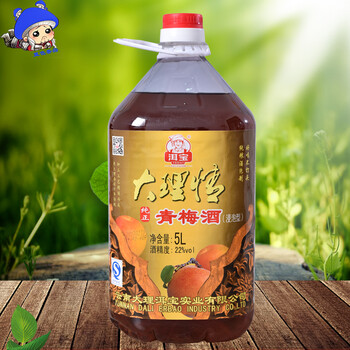 洱宝青梅酒云南大理产泡制送礼 22度5lx1桶装梅子酒浸泡酒果酒 梅子味