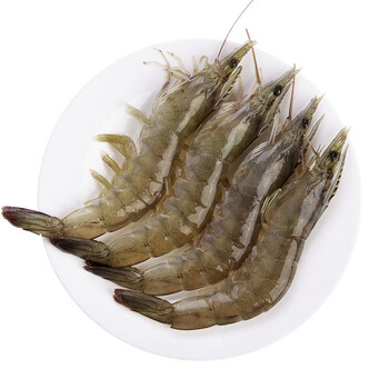 皓谦基围虾4斤青岛大虾超大海虾鲜活冷冻白虾对虾新鲜海捕海鲜虾 1500