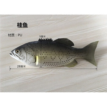 金枪鱼玩具仿真鱼道具模型儿童礼物幼儿园启蒙教育 桂鱼【图片 价格