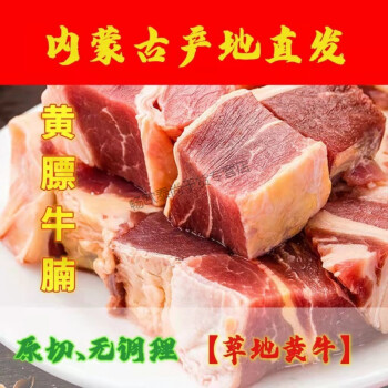 内蒙古黄标牛排草地黄牛黄膘牛腩牛肉生肉原切牛腩块锡