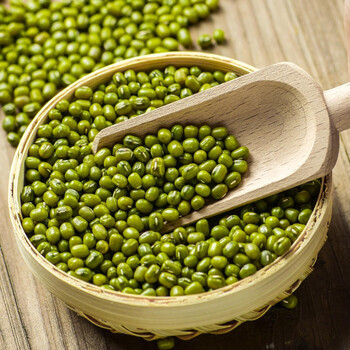 小米地xiaomidi云南农家小绿豆五谷杂粮绿豆粥小绿豆袋装1000g绿豆粥2