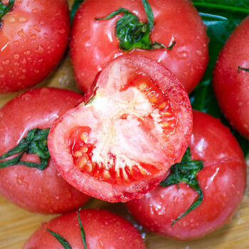 【10斤沙瓤西红柿自然成熟生吃】攀枝花高山番茄新鲜批发带箱2斤 沙瓤