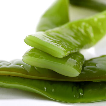 1斤5斤新鲜海白菜裙带菜盐渍裙带梗海裙菜半干货海带海藻海菠菜5斤装