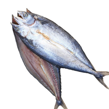 鲅鱼干 渔民自晒尖嘴咸鲅鱼干圆刀鲅腌制马鲛鱼咸鱼干鱼干干货燕尾鲅