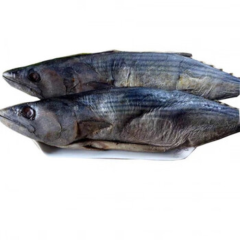山东咸鱼臭香味原味花鲅鱼马鲛鱼老咸鱼梅香咸鱼发酵腌制咸鱼4斤重两