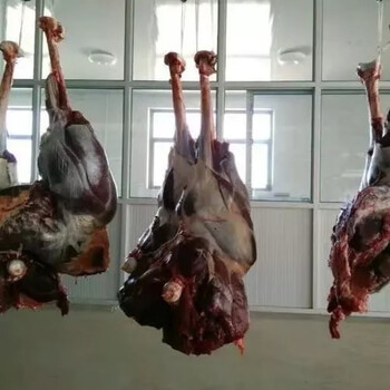 鸵鸟生鲜肉宰杀去筋去膜现杀现发精肉鸵鸟腿肉 3斤原切去皮去骨大腿肉