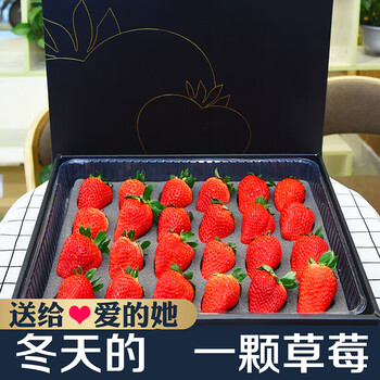 年货丹东99草莓空运代写贺卡草莓圣诞礼物送女友元旦礼盒罗曼蒂克草莓