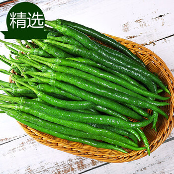 媚调海南新鲜辣椒5斤 当季青线椒长椒农家小米椒蔬菜特产 250g