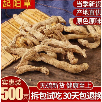 起阳草新品起阳草云南苗家产中材酒料500g