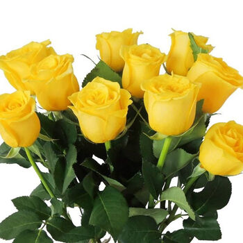 花束云南昆明基地直发斗南黄花卉玫瑰插花 a级金枝20支 尤加利叶10支