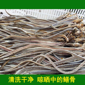 新鲜黄鳝骨长鱼骨鳝鱼骨头现拉骨头白骨头500g可煲汤