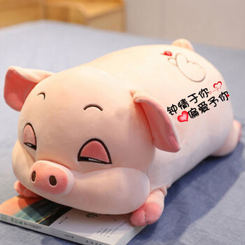 钟情于你 50厘米(带空调毯)【代写贺卡 礼