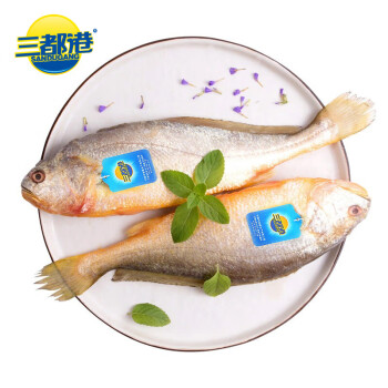 三都港 深海速冻宁德大黄花鱼700g/2条装 生鲜 鱼类 国产海鲜水产 健康轻食
