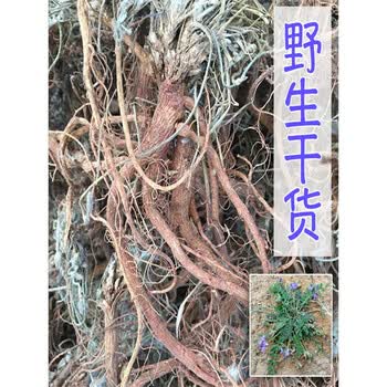 康中尊地丁野生紫花地丁萝卜甜地丁根新货干米口袋500g老鼠布袋草