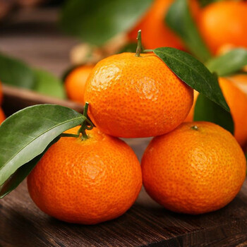 【京鲜达】广西桂林砂糖橘沙糖桔当季新鲜水果无籽蜜橘鲜果 2斤 精选