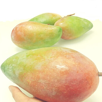 绿养道云南华坪 凯特芒果 新鲜水果【单果400g 】 带箱10斤(净重约8.