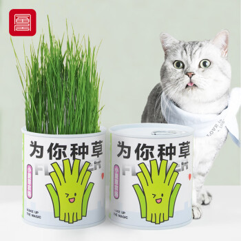 foojo猫草盆栽罐头2瓶猫薄荷去毛球猫咪零食磨牙洁牙