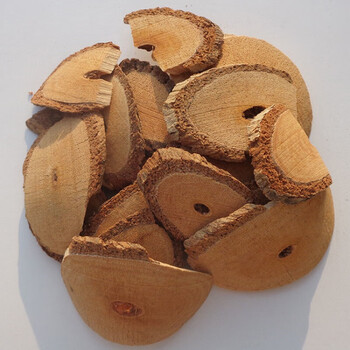 凯史甘斯 中药材 新货 藤梨根 猕猴桃根 雄洋桃根 杨桃根 藤梨根 1000