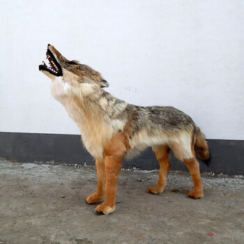 定制仿真野生动物模型大型仿真狼标本1比1皮野狼影视假狼道具摆件狼