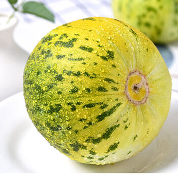 八里香甜瓜花蕾甜瓜脆甜花皮应季水果新鲜现摘 5斤-6斤【6个】