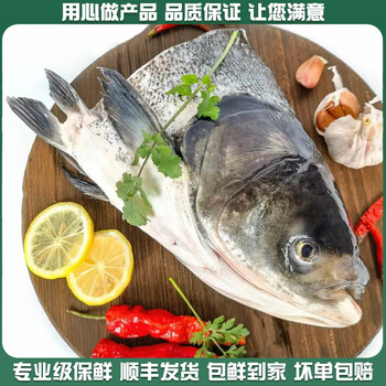 鲜贤农微山湖现切花鲢鱼头胖头鱼头新鲜剁椒鱼头鲢鳙鱼身鱼头汤煲发