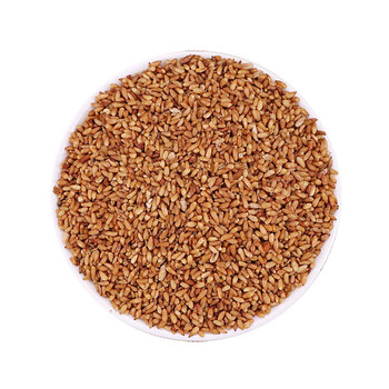 柏子仁 中药材 250g 500g 柏子仁壳