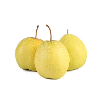 雪花梨赵县新鲜梨雪梨水果新鲜当季梨子新鲜雪梨整箱5斤中果吃货尝鲜