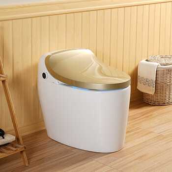 全自动翻盖马桶创意双频双模一体即热式坐便器 双频双模自动翻盖 金色