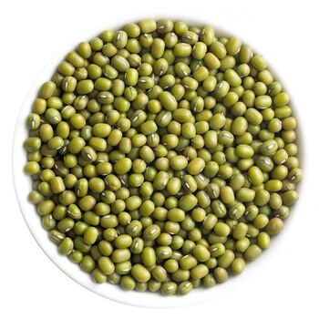 2斤农家新绿豆五谷杂粮精品小绿豆笨绿豆子打豆浆绿豆汤粥试吃装1斤装
