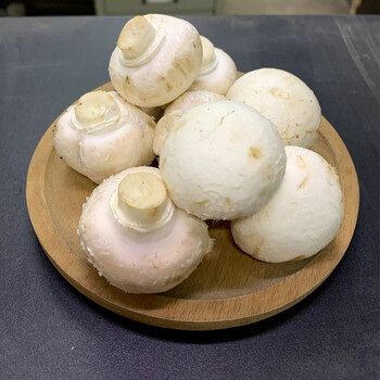 新鲜白蘑菇 500g食用蘑菇菌 5件生鲜蘑菇 500g