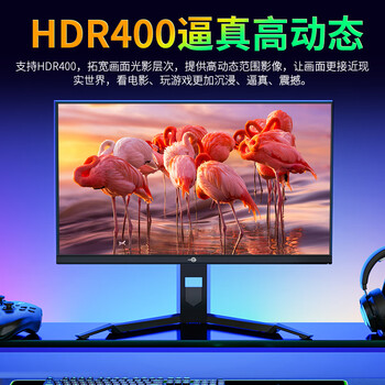 泰坦军团24.5英寸 HDR400高亮版 2K 240Hz FastIPS显示器低蓝光护眼 升降旋转支架 色域限缩电竞屏幕P25M2S