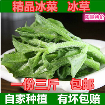 山東新鮮冰菜冰草農家新鮮蔬菜火鍋即食生吃沙拉菜順豐三斤冰菜泡沫箱