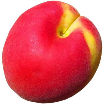 青樱红荔山西大红杏胭脂杏红杏杏子水果新鲜孕妇儿童杏仁吃红梅杏5斤