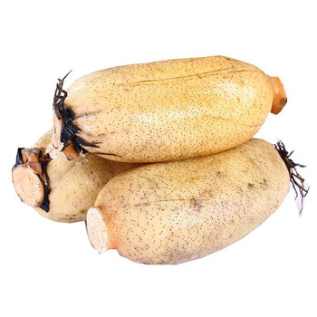 禧利郎洪湖新鲜莲藕新鲜粉藕九孔藕煲汤粉糯米藕红藕湖北特产5斤