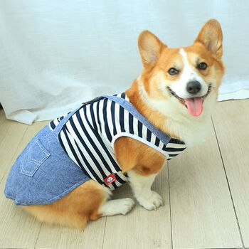 everking宠物狗狗衣服冬季春秋款夏季小狗中型犬可爱背心夏装泰迪柯基