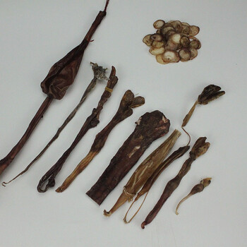 玛咖锁阳肉苁蓉淫羊藿中药酒鹿茸泡酒料配方男人中药材套装动物十鞭