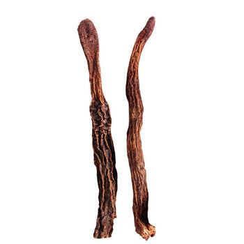 阿拉善野生肉苁蓉金锁阳片淫羊藿叶泡酒茶中药材整根批发新疆精品锁阳