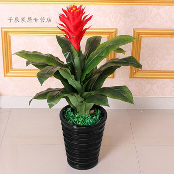 鸿运当头仿真花落地假树塑料装饰花大型仿真植 80厘米鸿运当头 盆 草