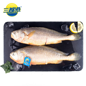 三都港冷凍三去大黃魚凈重2斤/2條裝 寧德黃花魚 深海生鮮魚類 海鮮水產