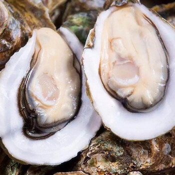 5kg约30个 台湾海峡贝拉生蚝 海鲜水产牡蛎贝类 烧烤食材