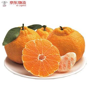云南椪柑橘新鲜椪柑当季蜜桔水果冰糖丑桔整箱大果3斤尝鲜装