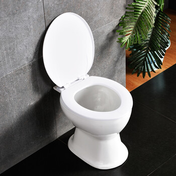 汀佐(tingzuo) 农村马桶旱厕坐便器陶瓷直通式免冲旱便蹲便改座便两用